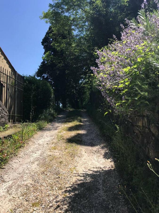 Antica Dimora Di Laura Apartment Barberino di Mugello Exterior foto